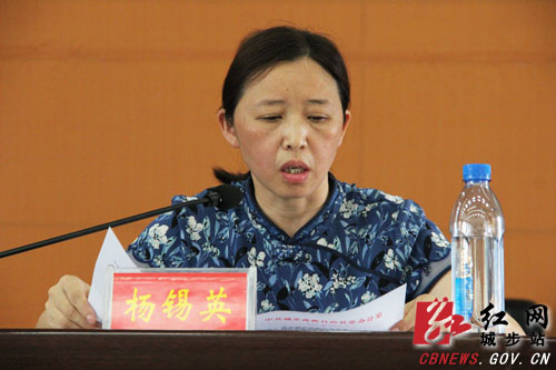 湖南省城步县委副书记蔡灿辉作工作报告