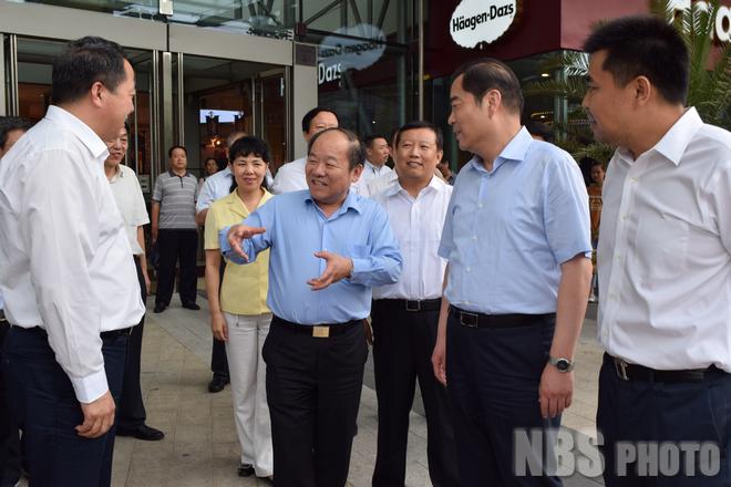 宁吉喆在天津调研时强调|天津|国家统计局