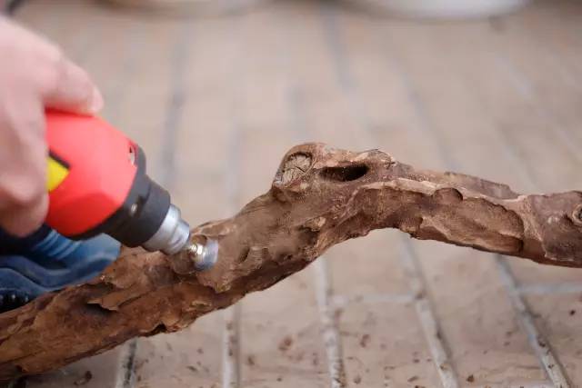 匠心是自主品牌的“明镜”