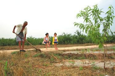 何时该浇水 哪里旱情重 村民加上微信就知道