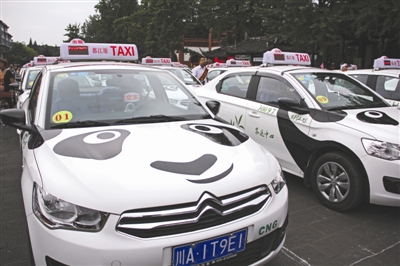 都江堰出租车将变大熊猫|出租车|都江堰|熊猫