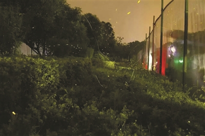 xzYh-fxtsatn7992381.jpg