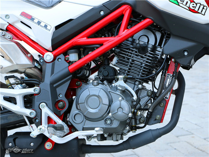 单车评测:贝纳利 TNT125(小暴龙)