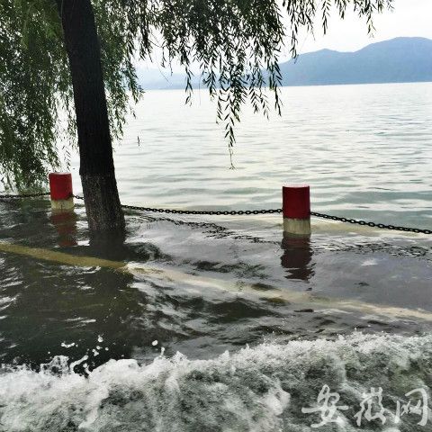 黄山太平湖超警戒水位 旅游码头被淹1米多（图）