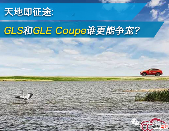 天地即征途：GLS和GLE Coupe谁更能争宠？