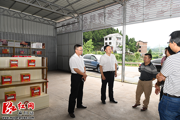 麻阳县委书记李卫林调研安全生产工作|安全生