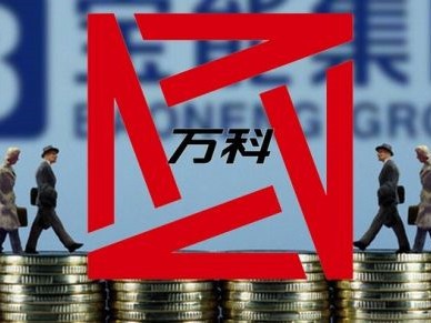 万科管理层谈宝万之争:有合作方因此而犹豫|万