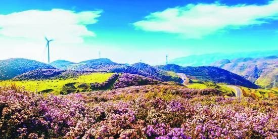 乌蒙大草原|乌蒙|大草原_新浪新闻