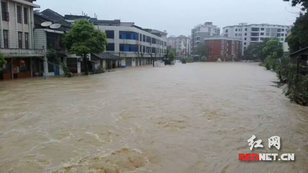 男子躲避洪水爬上大树 桃江民警激流中救人