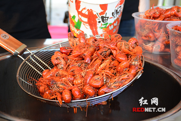 啤酒、美食与音乐完美邂逅！长沙哈啤音乐节等你来嗨