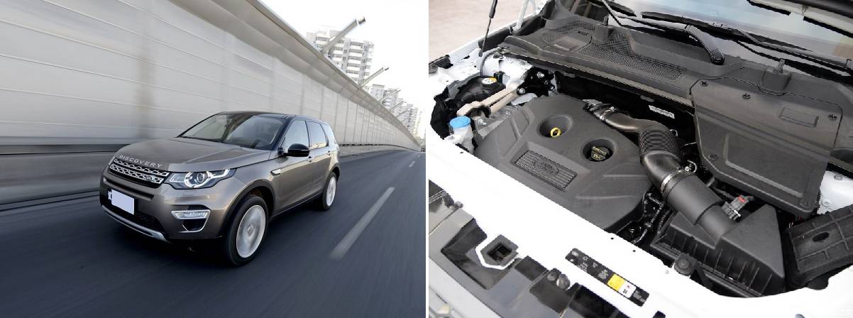 路遇这些动力怪兽 最好先让让路!