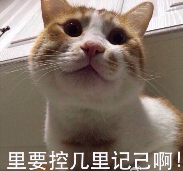 交警提示:驾车不摸奶,摸奶不驾车!