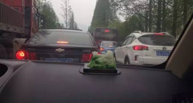 别被厂商骗了!揭秘官方百公里油耗的真相