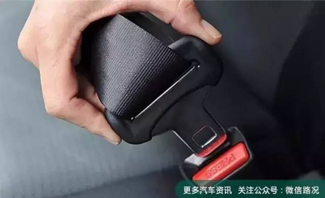 坐后排不系安全带?立刻罚你500元!