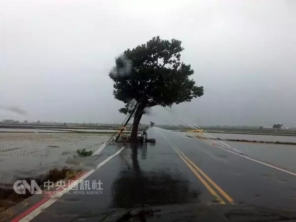 民众:原来投错票的感觉差这么多|台湾|台风|蔡