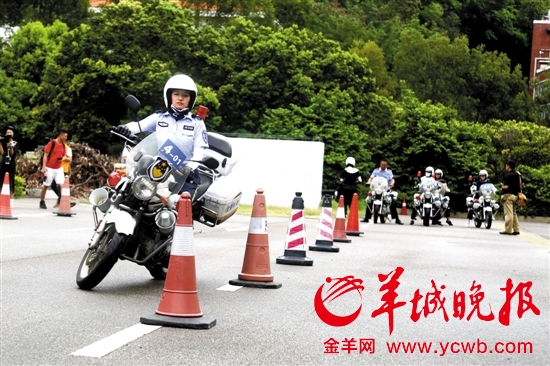 深圳筹建全国首支女子铁骑队 共有12人|铁骑|女