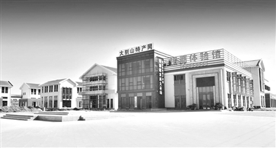 产业转型助推老区新跨越|麻城|中国|石材