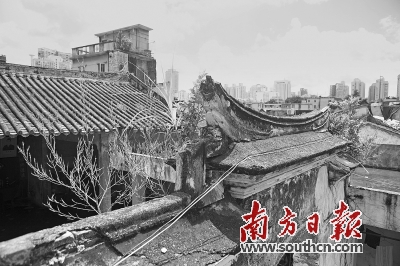 湖贝城市更新出新版规划方案|城市|规划方案|专