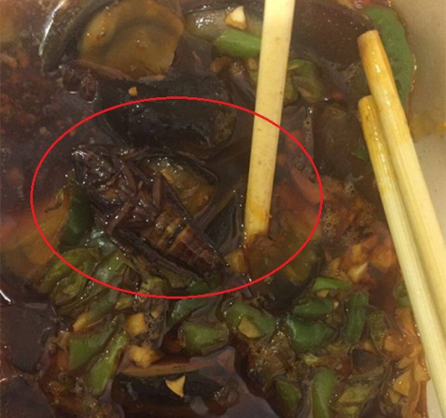 多地出台网络餐饮监管规定 外卖需标明食用时