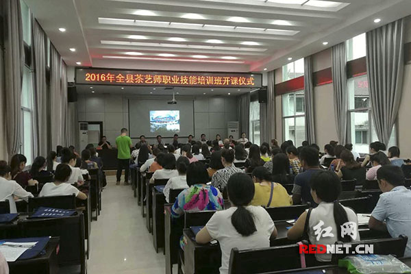 古丈县2016年茶艺师职业技能培训班今日开班