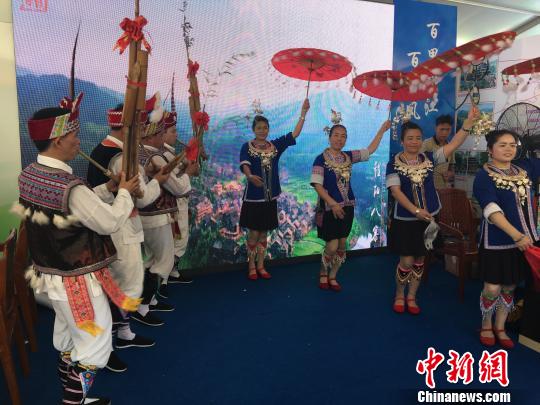 台业界人士:广西乡村旅游可开发特色农产品带