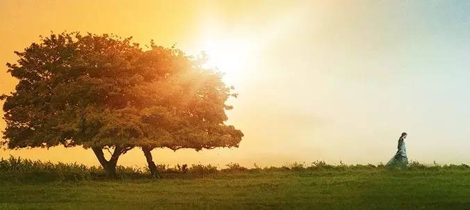 珍惜你的小骄傲吧,只要它不是虚荣