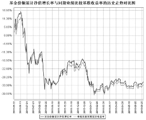 长盛同庆中证800指数型证券投资基金(LOF)20