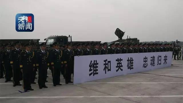 维和英雄 忠魂归来!维和烈士李磊 杨树朋遗体回国_新浪财经_新浪网