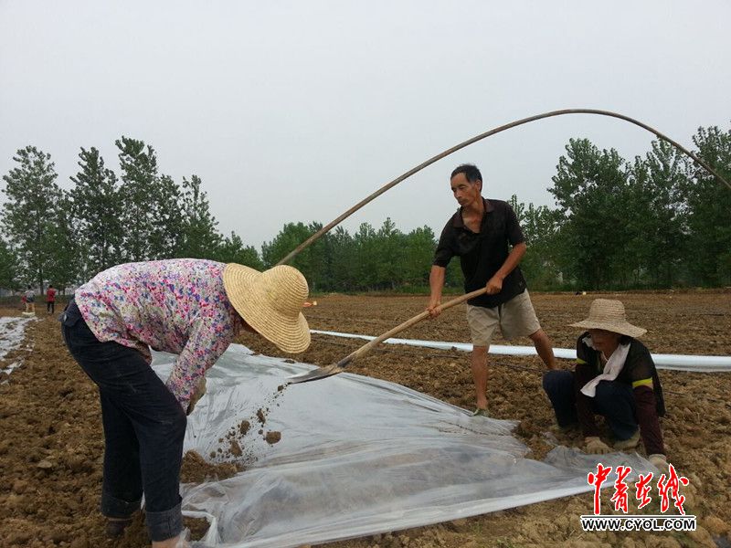 湖北阳新:洪灾过后忙生产自救 已抢播农作物1