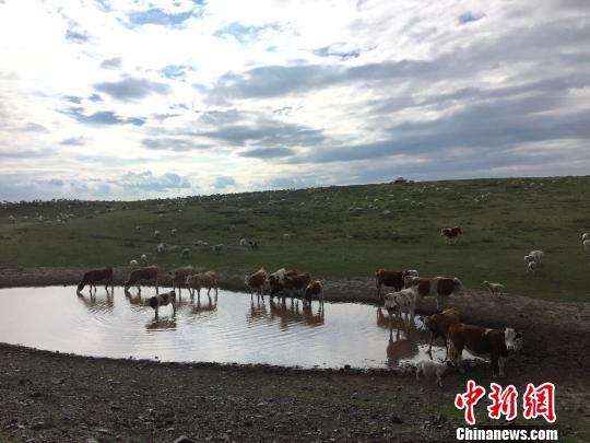 草原传统畜牧业 科技创新:游牧文化的现代延续
