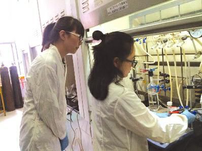 春笋计划 让他们走进大学实验室|计划|大学|实