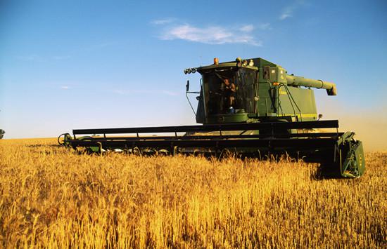 澳洲天气良好小麦料丰收 全球农产品或承压|农