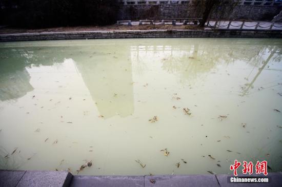 资料图:一河流被污染。 图片来源:视觉中国