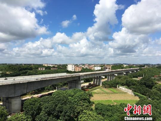 深茂铁路江茂段最长桥梁提前架梁完成|铁路|桥