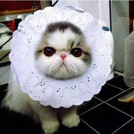 分手时把男友的账户全仓了*欣泰女票会炒股是