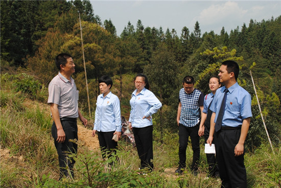 大田县检察院:检察监督促进矿山生态修复