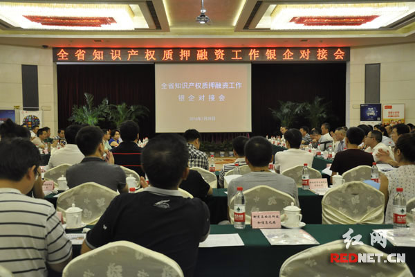 湖南专利权质押融资银企对接 现场签约授信2.