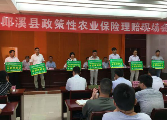 国元保险董事长张子良:落实好党的支农惠农政