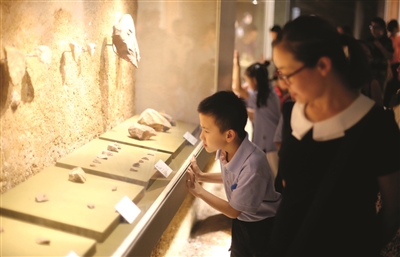 南京各大博物馆亲子游大幅上升|博物馆|孩子