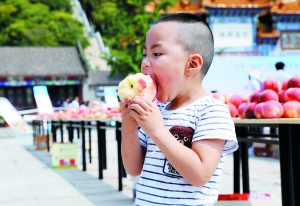 平谷刘家店鲜桃触电