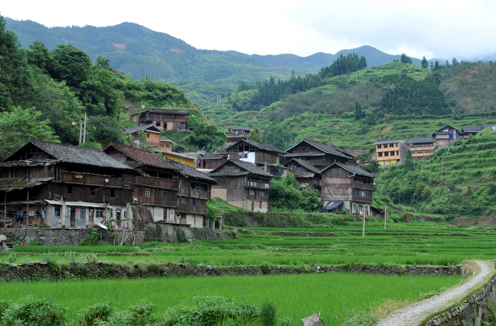 脱贫攻坚省级样本:看贵州如何精准扶贫