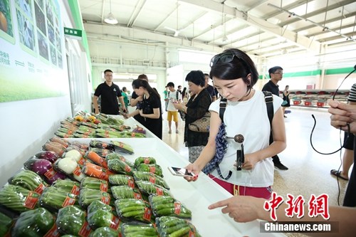 电商平台联手蔬菜基地 可溯源蔬菜走进百姓餐