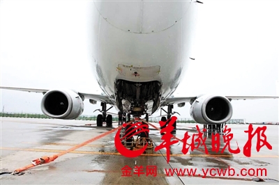 台风过境 白云机场160吨飞机被缆绳拴住|飞机