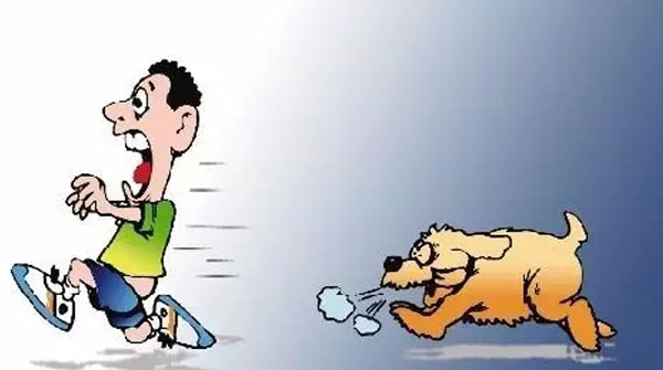 夏季狗狗烦躁老鼠兔子也咬人 医生提醒均应正