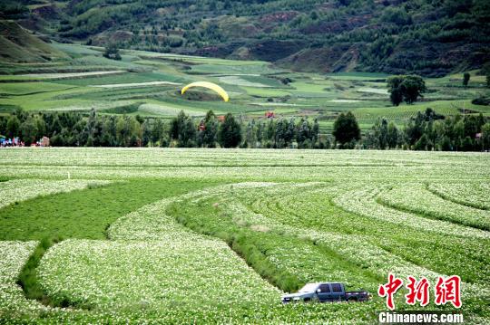 山西国贫县的土豆供给侧改革样本:从原始模式