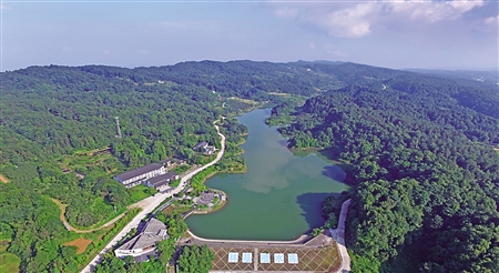 一个微信群圈起业主心: 看巴南跳石镇无微不