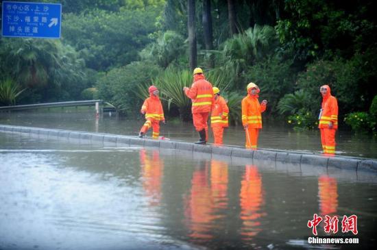 资料图：2016年8月2日，台风“妮妲”以强台风级别，于3时35分在深圳大鹏半岛沿海地区登陆，登陆时中心最大风力14级，所过之处，破坏力惊人。