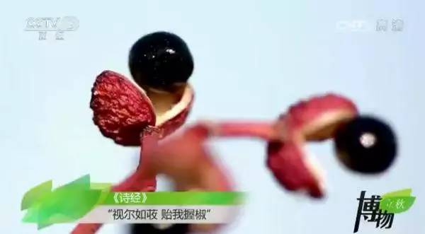 ������������������ѧ�������о͹��ˣ�