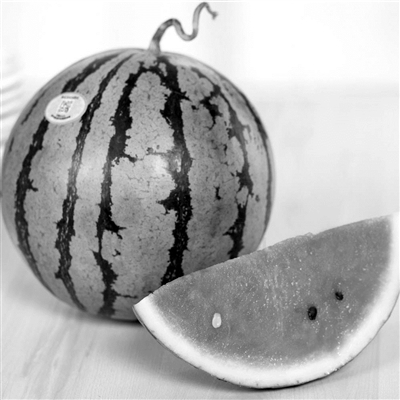 北方瓜已唱主角 市民啃秋成本不贵|西瓜|市民|价格