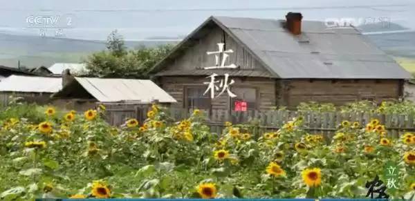 ������������������ѧ�������о͹��ˣ�